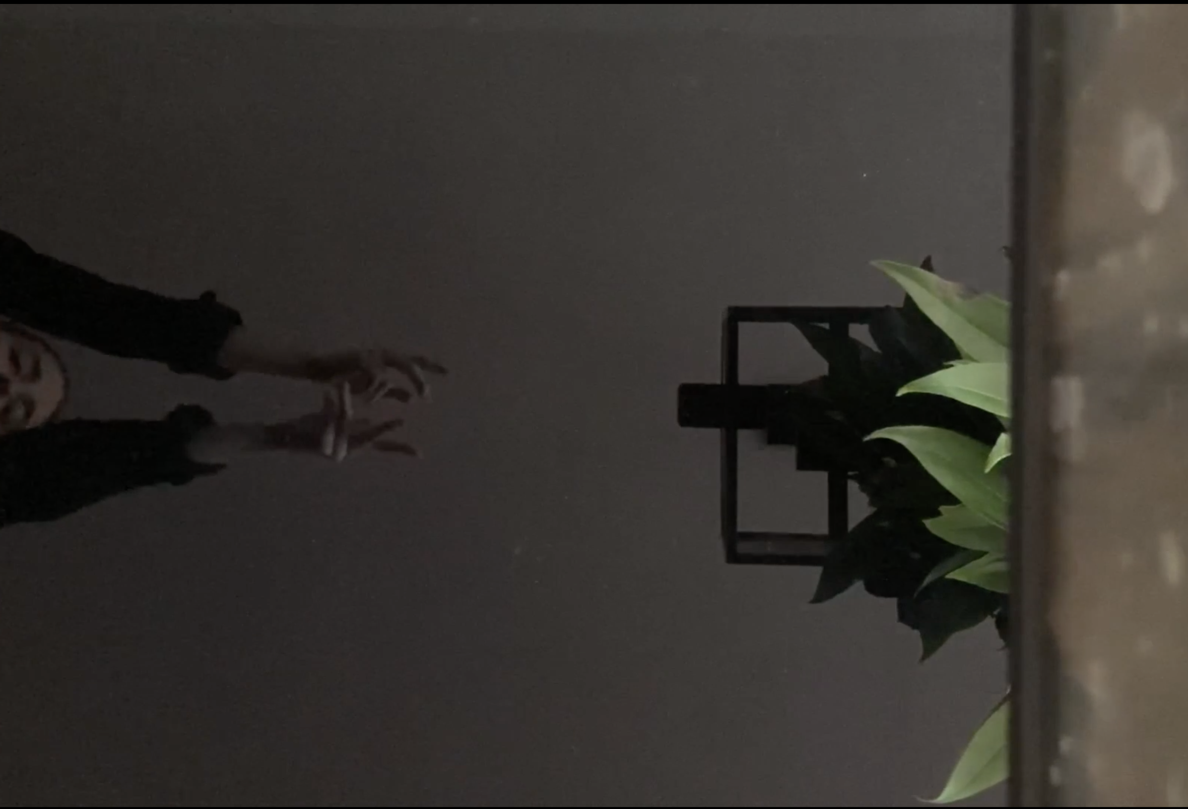 A dancer's head and arms extend out of the left side of the image, while on the right side, a plant extends from a solid structure. The room is dark and the dancer wears black sleeves. Credit is as follows: Time Enough: Clock: January 2021 (Crystal of Time), created by Allison Costa.