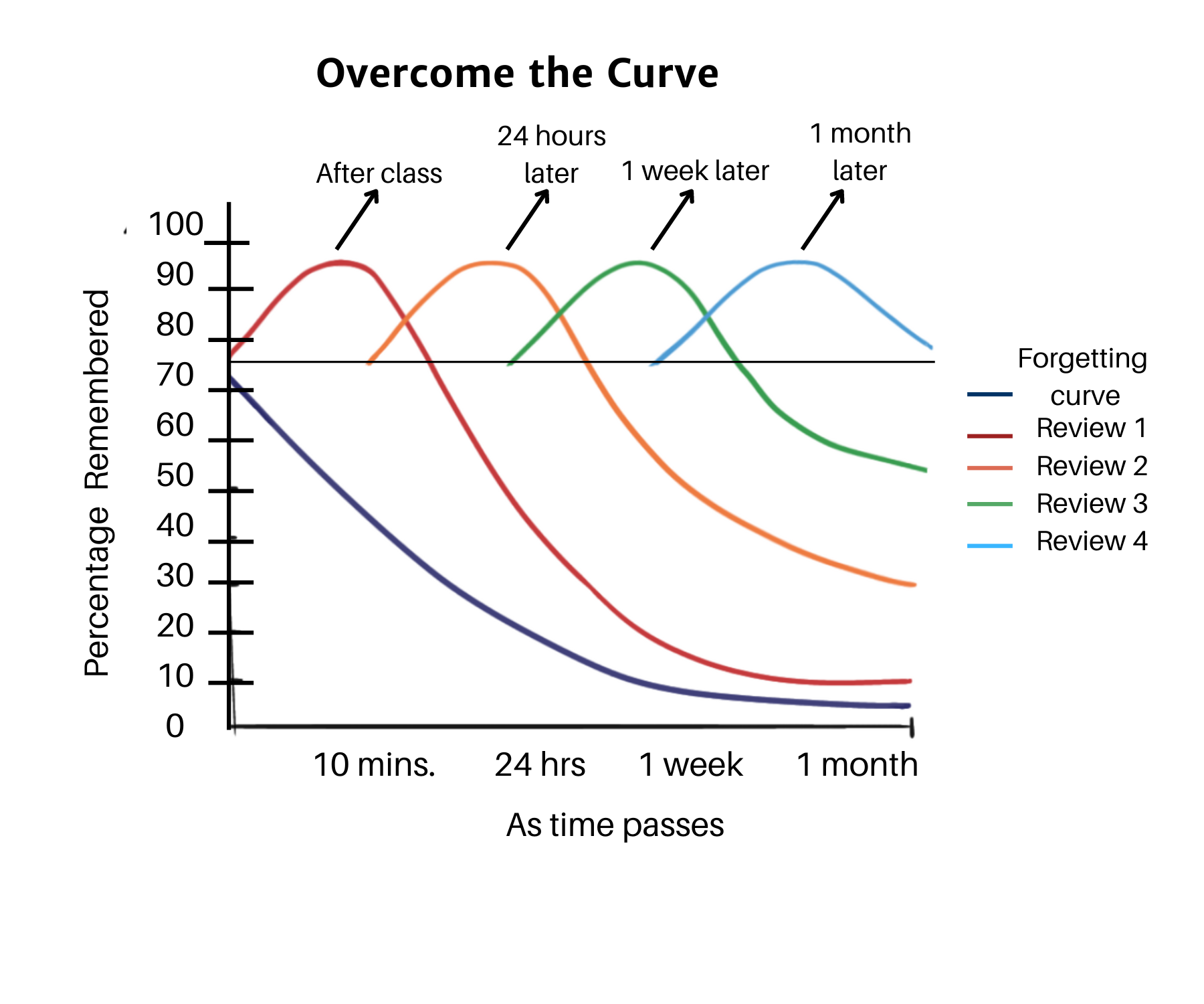 Memory Plus: memory, concentration, and mental performance, in two