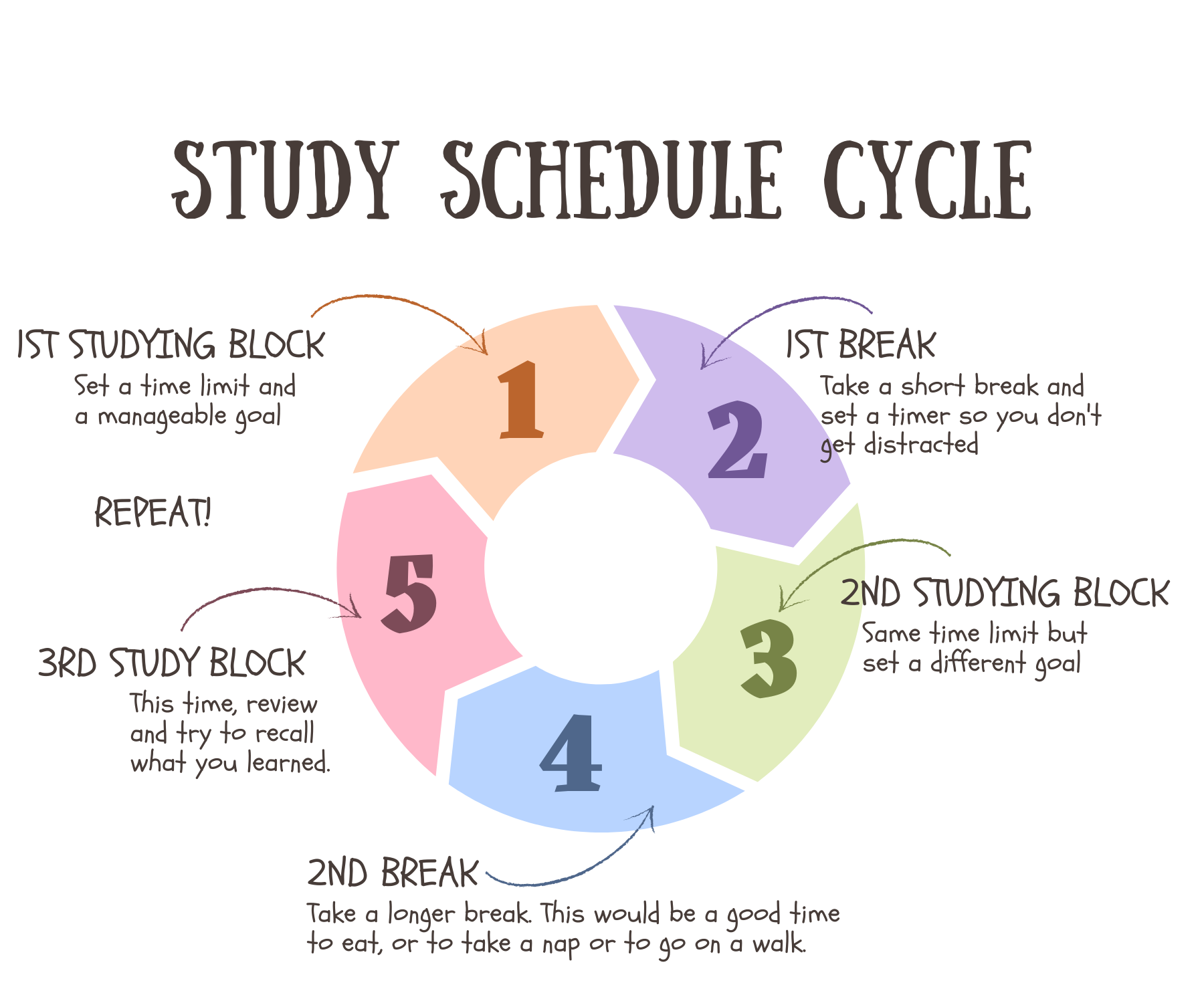 Study Schedule Cycle with 5 steps